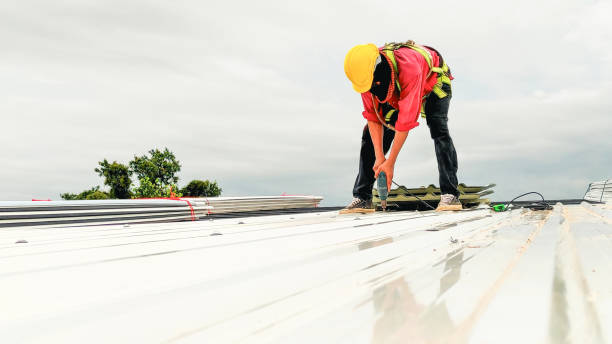 Best Solar Panel Roofing Installation  in Montague, MI